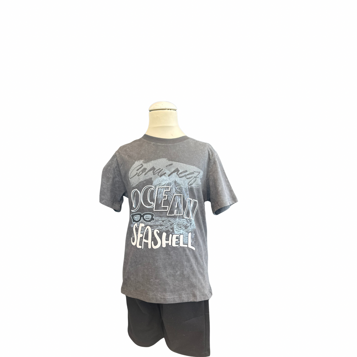 Boys’ Washed Effect Ocean T-Shirt & Shorts Set – White or Dark Grey