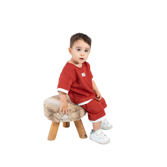 Boys' Summer Set – Brick Red T-Shirt & Shorts